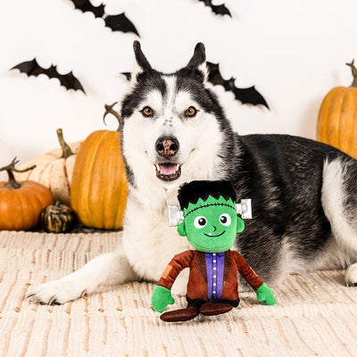 Frankenstein hondenspeeltje met 2 piepers. 