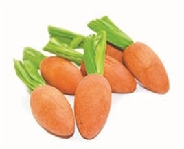 Knaaghout wortel